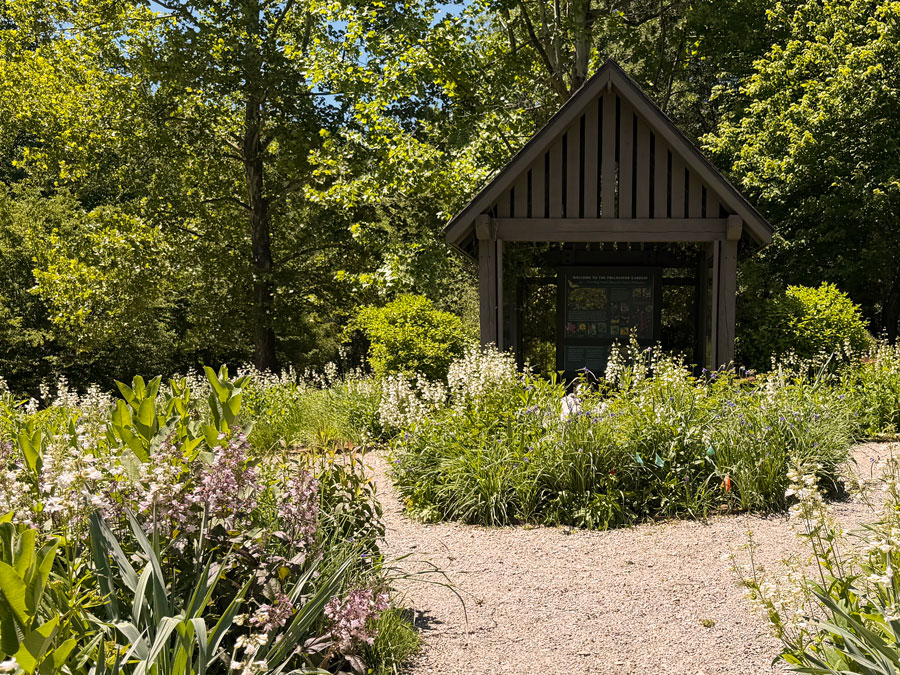 Native Pollinator Garden at The Village Arboretum in Pinehurst, NC