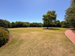 Joyce's Meadow at The Village Arboretum in Pinehurst, NC